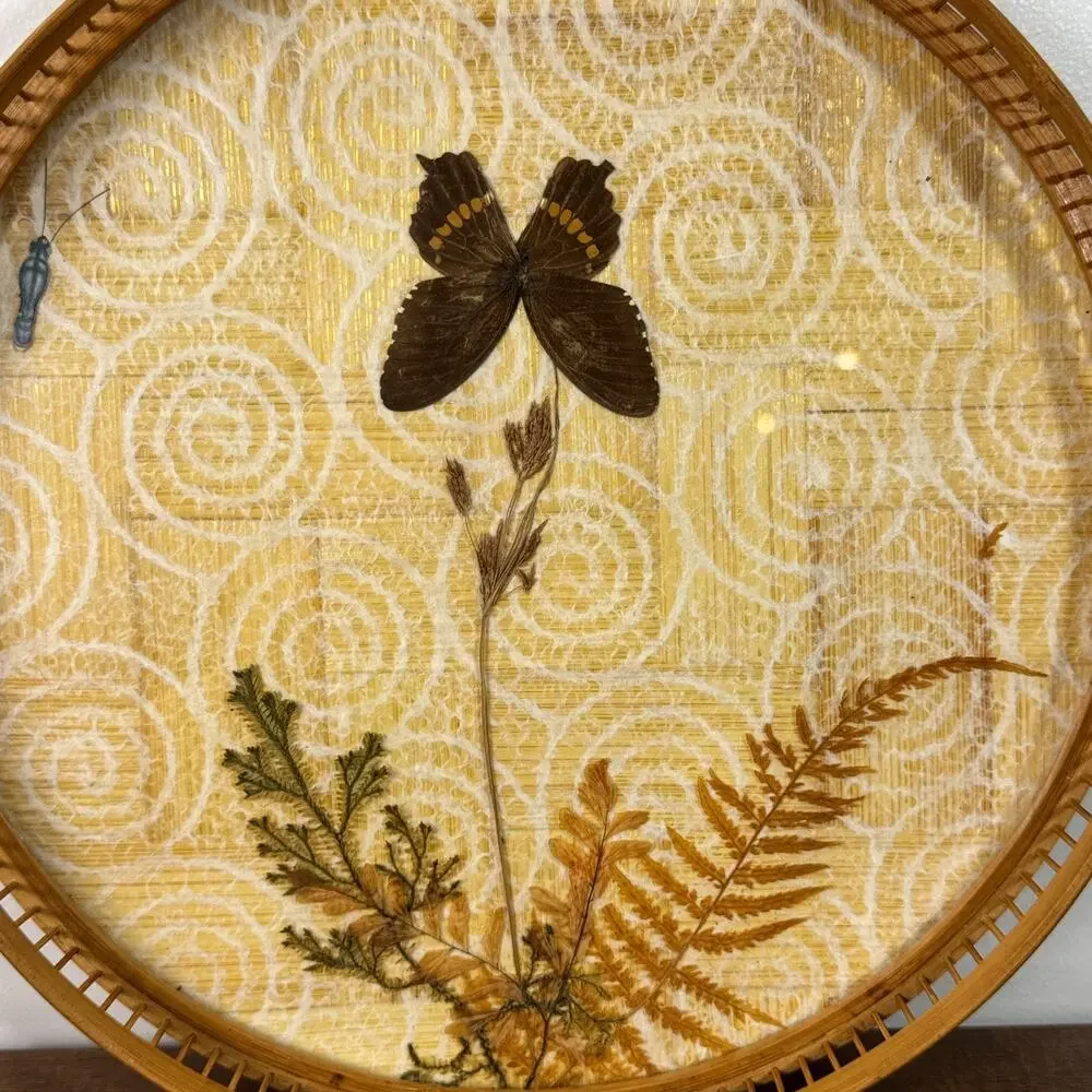 Vintage Bamboo Butterfly Serving Tray w/ 3 Matching Coasters Pressed Ferns Real